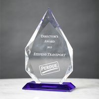 Image of 2013 Perdue Director's Award