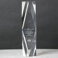 Image of Tyson Top Carriers Award